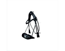 Leather Bridle